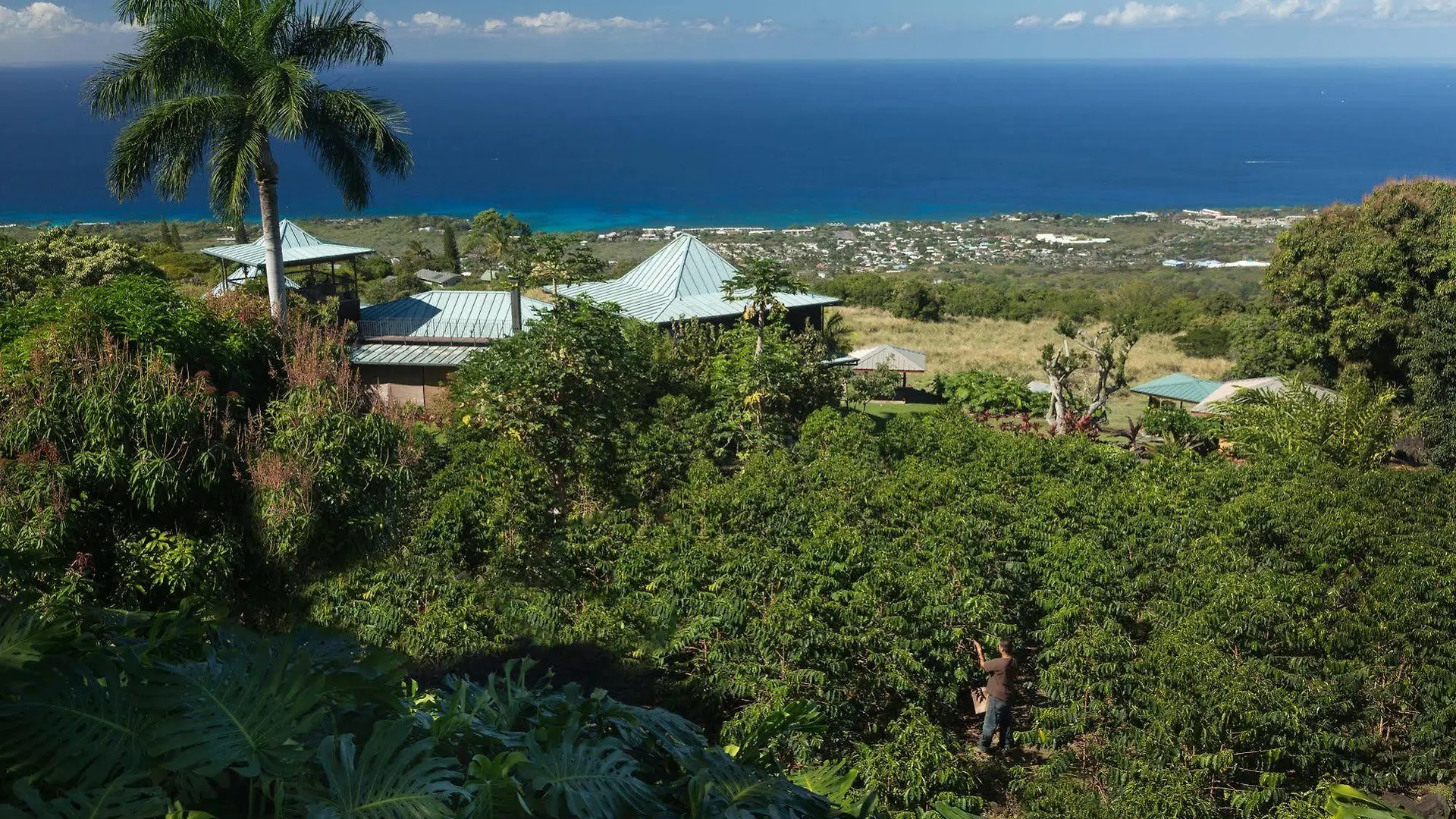 Holualoa Inn